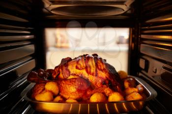 Thanksgiving Turkey Roasting Inside Oven