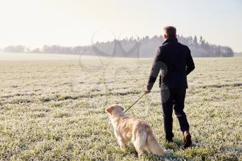 Mature Man Walking Dog In Frosty Landscape
