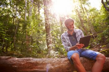 Man Sits On Tree Trunk In Forest Using Digital Tablet