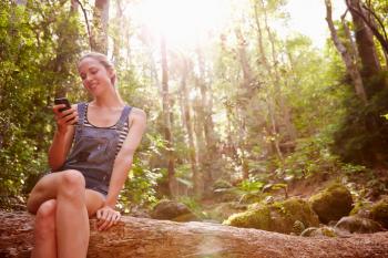 Woman Sits On Tree Trunk In Forest Using Mobile Phone
