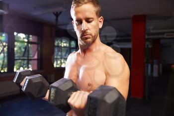 Bare Chested Man In Gym Lifting Hand Weights