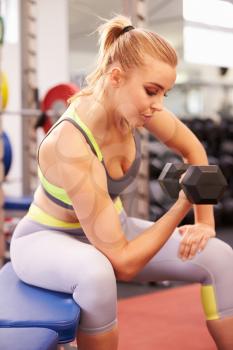 Young woman exercising with dumbbells at a gym, vertical