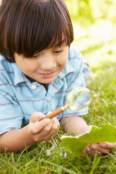 Boy examining leaf