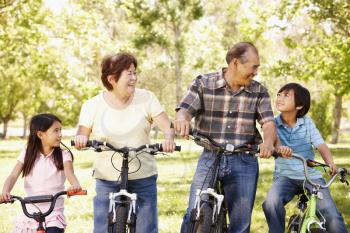 Asian grandparents and grandchildren riding bikes in park