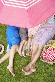 Overhead View Of Family Enjoying Picnic Together