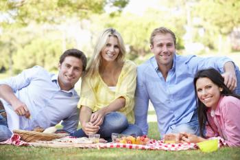 Group Of Friends Enjoying Picnic Together