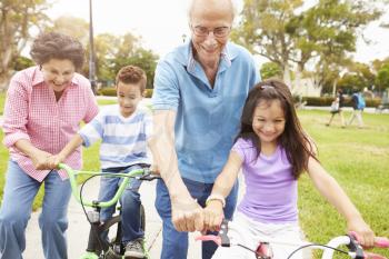 Grandparents Teaching Grandchildren To Ride Bikes In Park