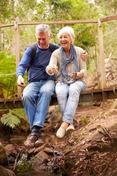 Happy senior couple sitting on a bridge in forest, vertical