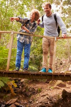 Father and son standing together on a bridge in a forest