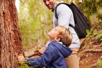 Young boy and his father walking through a forest