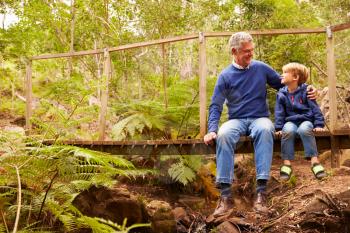 Grandfather sitting with grandson on a bridge in a forest