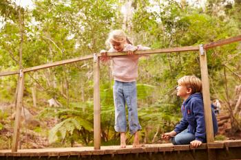 Young siblings playing on a bridge in a forest