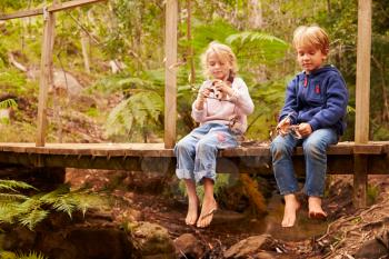 Young siblings playing on a bridge in a forest