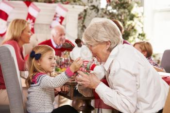 Granddaughter With Grandmother Enjoying Christmas Meal