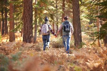 Couple holding hands walking in a forest, back view, USA