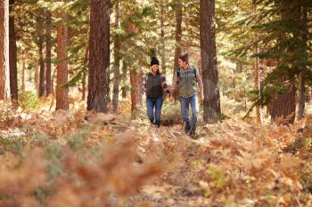 Couple holding hands walking in a forest, California, USA