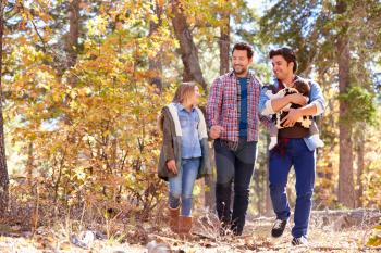 Gay Male Couple With Children Walking Through Fall Woodland