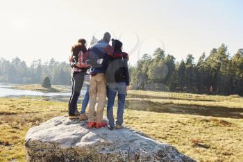 Five friends standing on a rock in countryside, back view