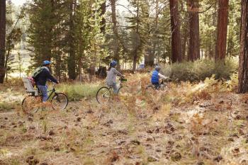 Family cycling through a forest together, side view