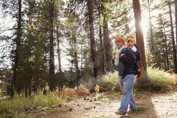 Dad walking in forest with toddler daughter in baby carrier