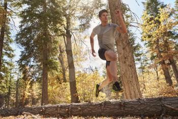 Young adult man running in a forest, low angle view
