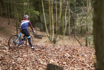 Cross-country cyclist pauses at the top of slope in a forest