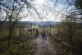 Gate in a rural landscape