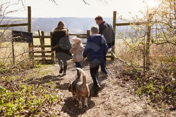 Family and dog walking to gate in the countryside, back view