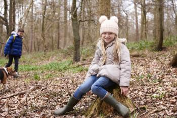 Young girl sitting on a tree stump in a forest