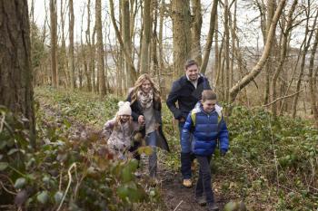 Family walking together through a wood