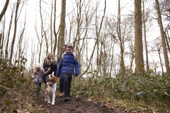 Family walking with pet dog in a wood, low angle view