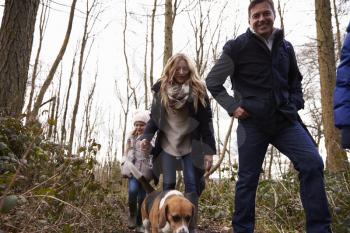 Family walking dog in wood, dad looking to camera, low angle