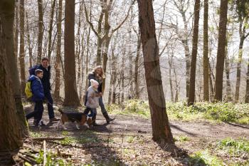 Side view of family walking with pet dog in a wood