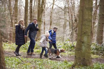 Side view of family walking pet dog in a wood, closer in