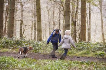 Side view of brother and sister walking pet dog in a wood