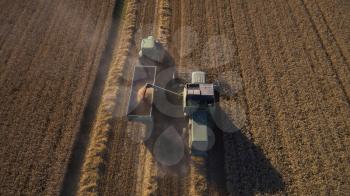 Aerial View As Tractor Collects Wheat From Combine Harvester