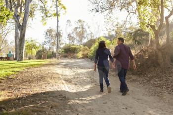 Mixed race couple walking in a park holding hands, back view