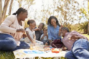 Multi Generation Family Enjoying Picnic In Park Together
