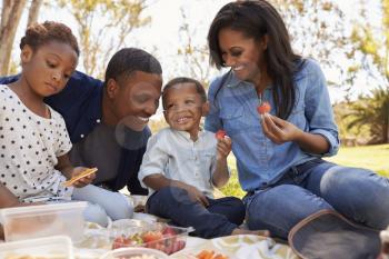 Family Enjoying Summer Picnic In Park Together