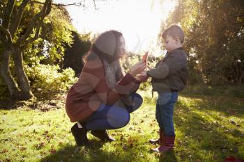 Boy And Mother Playing With Autumn Leaves in Garden