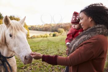 Young Girl On Autumn Walk With Mother Stroking Horse