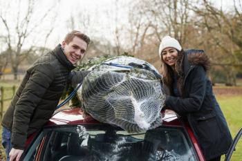 Couple tying Christmas tree to car roof look to camera