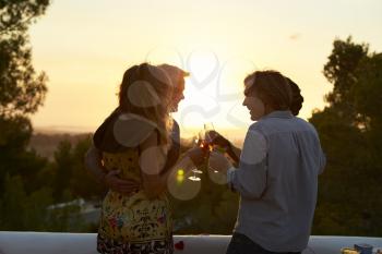 Two couples on a rooftop making a toast at sunset, low light