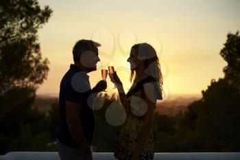Adult couple making a toast on a rooftop at sunset, side view