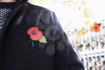 Birmingham, UK - 6 November 2016: Close Up Of Man Wearing Remembrance Day Poppy