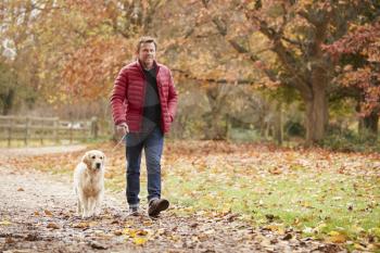 Mature Man On Autumn Walk With Labrador