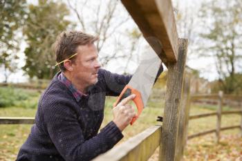 Mature Man Fixing Outdoor Fence With Saw