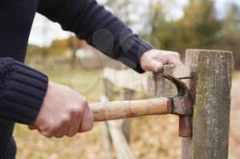 Mature Man Removing Nail From Fence Being Repaired