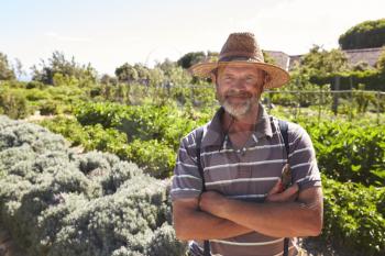 Portrait Of Mature Man Standing In Community Allotment