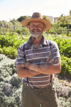 Portrait Of Mature Man Standing In Community Allotment
